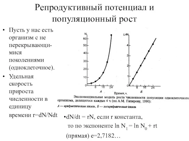 Репродуктивный потенциал и популяционный рост Пусть у нас есть организм с