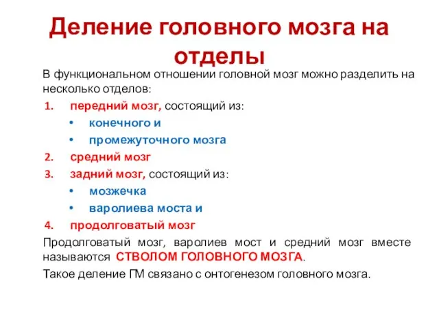 Деление головного мозга на отделы В функциональном отношении головной мозг можно