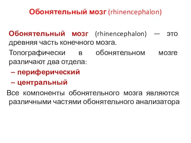 Обонятельный мозг (rhinencephalon) Обонятельный мозг (rhinencephalon) — это древняя часть конечного