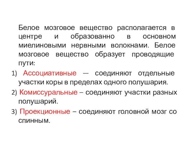 Белое мозговое вещество располагается в центре и образованно в основном миелиновыми