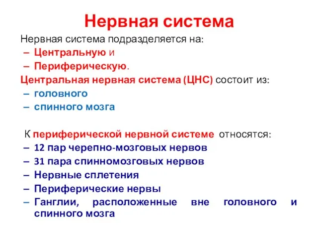 Нервная система Нервная система подразделяется на: Центральную и Периферическую. Центральная нервная