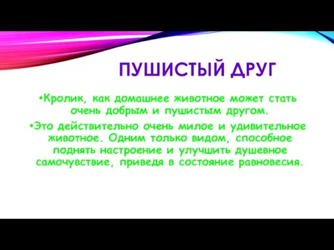 ПУШИСТЫЙ ДРУГ Кролик, как домашнее животное может стать очень добрым и