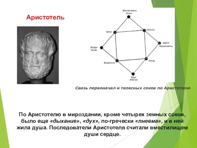 Аристотель Связь первоначал и телесных соков по Аристотелю По Аристотелю в