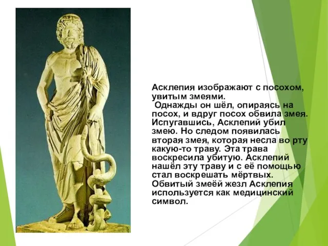 Асклепия изображают с посохом, увитым змеями. Однажды он шёл, опираясь на