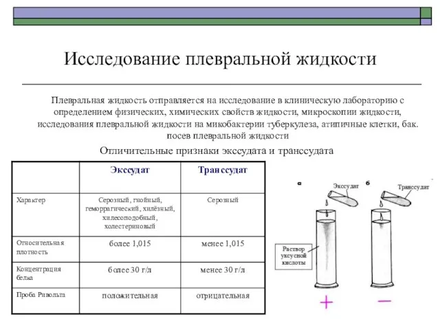 Исследование плевральной жидкости Плевральная жидкость отправляется на исследование в клиническую лабораторию