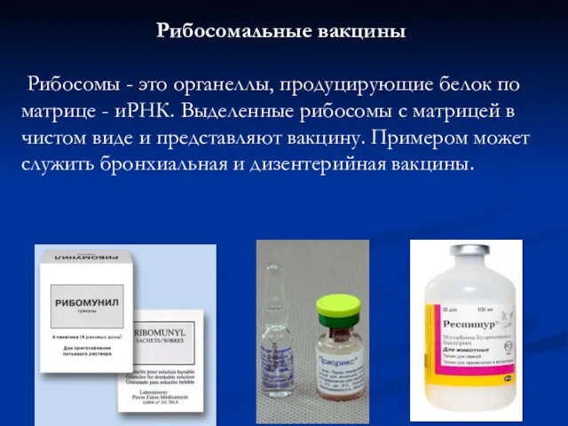 Рибосомальные вакцины Рибосомы - это органеллы, продуцирующие белок по матрице -