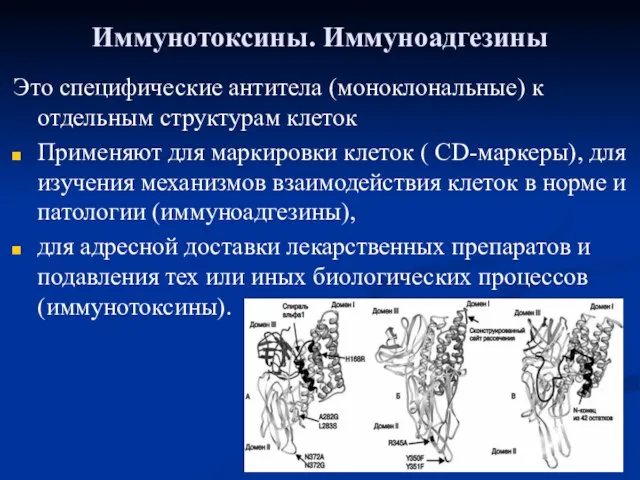 Иммунотоксины. Иммуноадгезины Это специфические антитела (моноклональные) к отдельным структурам клеток Применяют