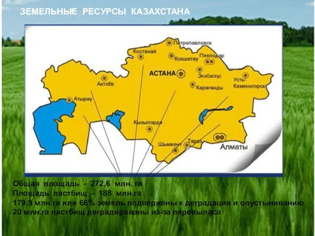 ЗЕМЕЛЬНЫЕ РЕСУРСЫ КАЗАХСТАНА Общая площадь - 272,6 млн. га Площадь пастбищ