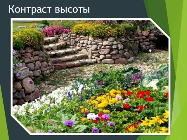 Контраст высоты