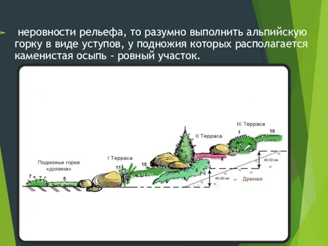 неровности рельефа, то разумно выполнить альпийскую горку в виде уступов, у