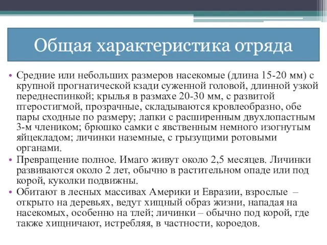 Общая характеристика отряда Средние или небольших размеров насекомые (длина 15-20 мм)