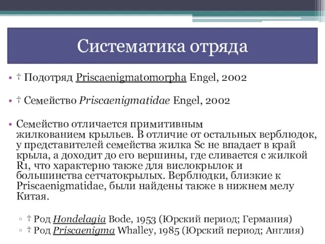 † Подотряд Priscaenigmatomorpha Engel, 2002 † Семейство Priscaenigmatidae Engel, 2002 Семейство