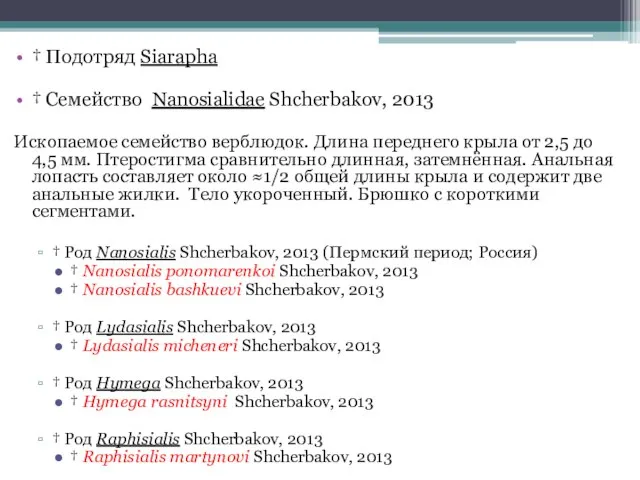 † Подотряд Siarapha † Семейство Nanosialidae Shcherbakov, 2013 Ископаемое семейство верблюдок.