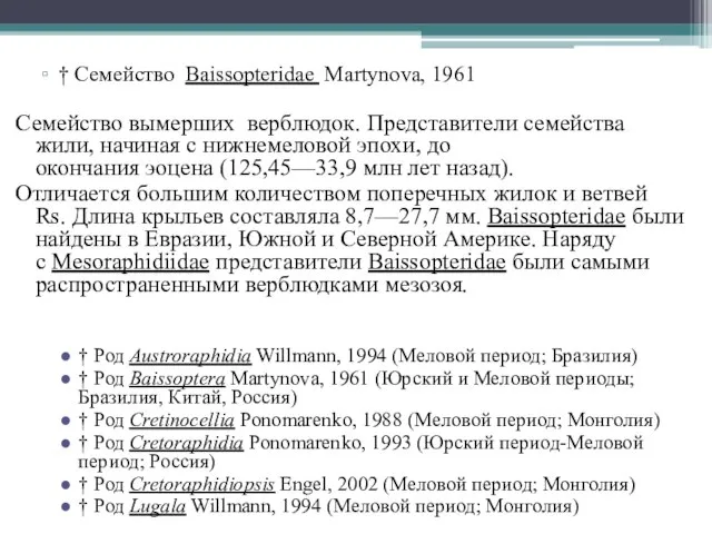 † Семейство Baissopteridae Martynova, 1961 Семейство вымерших верблюдок. Представители семейства жили,