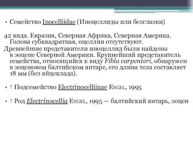 Семейство Inocelliidae (Иноцеллиды или безглазки) 42 вида. Евразия, Северная Африка, Северная