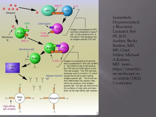 Immediate Hypersensitivity Reactions Updated: Feb 09, 2015 Author: Becky Buelow, MD,