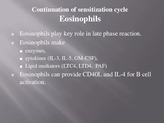 Continuation of sensitization cycle Eosinophils Eosinophils play key role in late