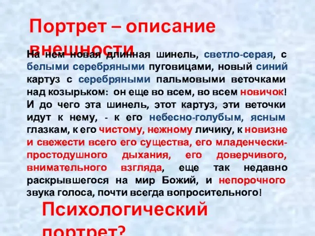 Портрет – описание внешности На нем новая длинная шинель, светло-серая, с