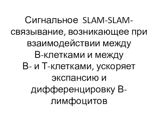 Сигнальное SLAM-SLAM-связывание, возникающее при взаимодействии между В-клетками и между В- и