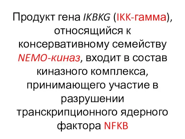 Продукт гена IKBKG (IKK-гамма), относящийся к консервативному семейству NEMO-киназ, входит в