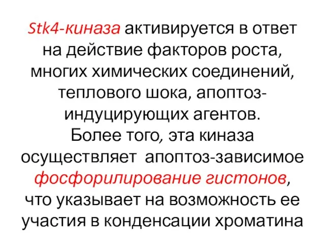 Stk4-киназа активируется в ответ на действие факторов роста, многих химических соединений,