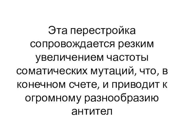 Эта перестройка сопровождается резким увеличением частоты соматических мутаций, что, в конечном