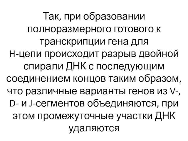 Так, при образовании полноразмерного готового к транскрипции гена для H-цепи происходит