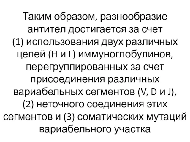 Таким образом, разнообразие антител достигается за счет (1) использования двух различных