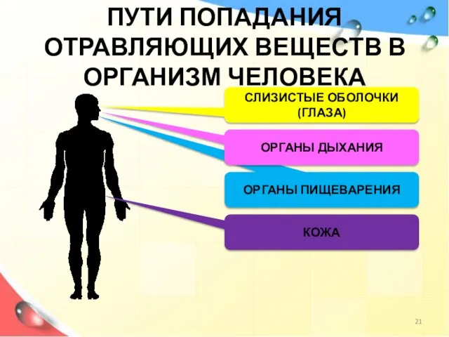 ОРГАНЫ ПИЩЕВАРЕНИЯ ПУТИ ПОПАДАНИЯ ОТРАВЛЯЮЩИХ ВЕЩЕСТВ В ОРГАНИЗМ ЧЕЛОВЕКА ОРГАНЫ ДЫХАНИЯ СЛИЗИСТЫЕ ОБОЛОЧКИ (ГЛАЗА) КОЖА