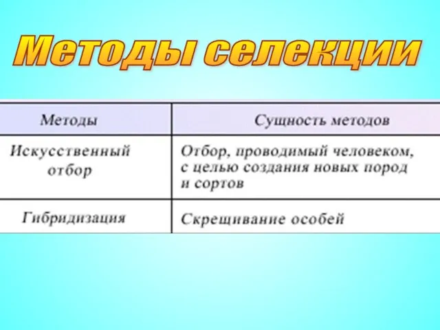 Методы селекции