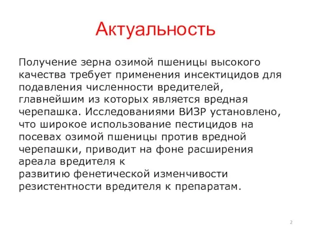 Актуальность Получение зерна озимой пшеницы высокого качества требует применения инсектицидов для