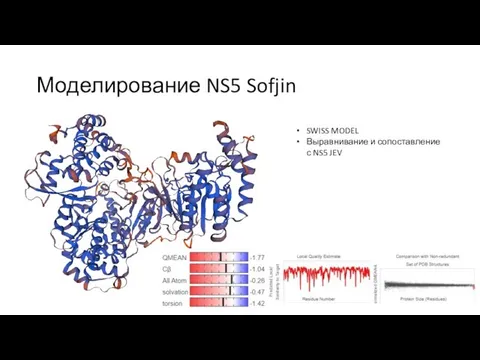 Моделирование NS5 Sofjin SWISS MODEL Выравнивание и сопоставление с NS5 JEV