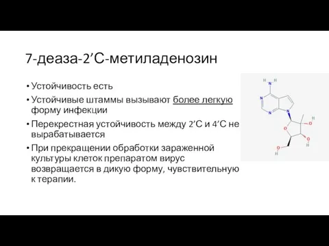 7-деаза-2’С-метиладенозин Устойчивость есть Устойчивые штаммы вызывают более легкую форму инфекции Перекрестная