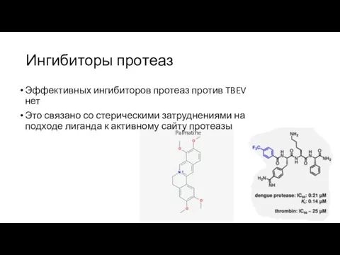 Ингибиторы протеаз Эффективных ингибиторов протеаз против TBEV нет Это связано со