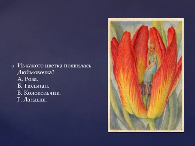 Из какого цветка появилась Дюймовочка? А. Роза. Б. Тюльпан. В. Колокольчик. Г. Ландыш.