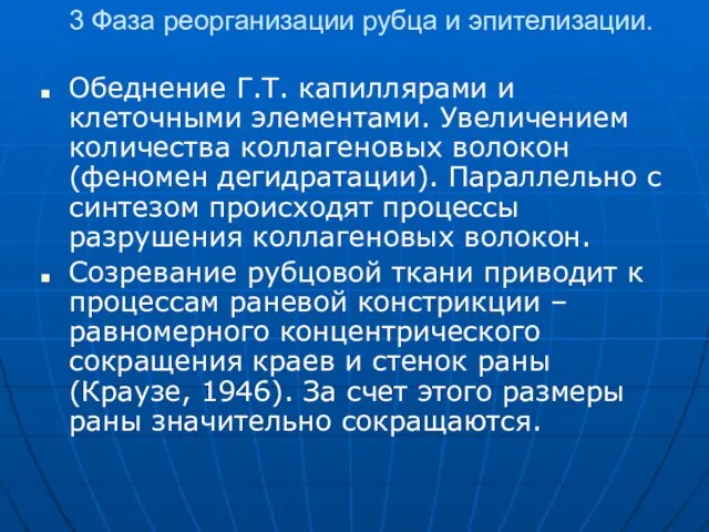 3 Фаза реорганизации рубца и эпителизации. Обеднение Г.Т. капиллярами и клеточными