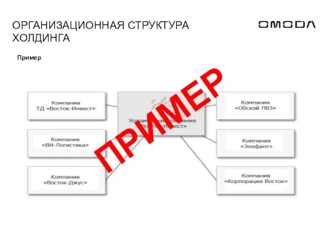 ОРГАНИЗАЦИОННАЯ СТРУКТУРА ХОЛДИНГА Пример ПРИМЕР