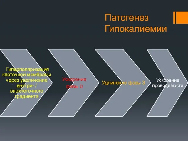 Патогенез Гипокалиемии