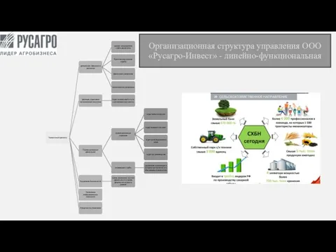 Организационная структура управления ООО «Русагро-Инвест» - линейно-функциональная