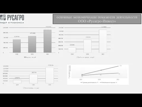 основные экономические показатели деятельности ООО «Русагро-Инвест»