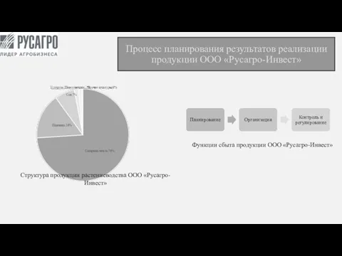 Процесс планирования результатов реализации продукции ООО «Русагро-Инвест» Структура продукции растениеводства ООО