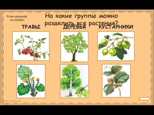 На какие группы можно разделить все растения? Клик мышкой на вопрос ТРАВЫ ДЕРЕВЬЯ КУСТАРНИКИ