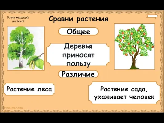 Сравни растения Общее Различие Деревья приносят пользу Растение леса Растение сада,