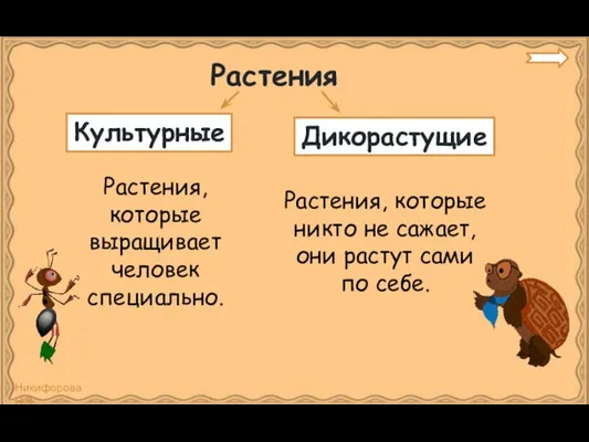 Растения Растения, которые выращивает человек специально. Растения, которые никто не сажает,