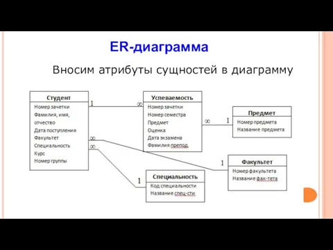 Вносим атрибуты сущностей в диаграмму ER-диаграмма