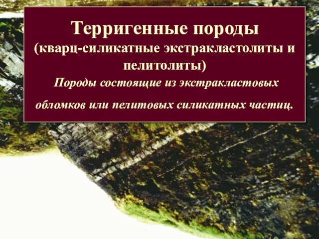 Терригенные породы (кварц-силикатные экстракластолиты и пелитолиты) Породы состоящие из экстракластовых обломков или пелитовых силикатных частиц.