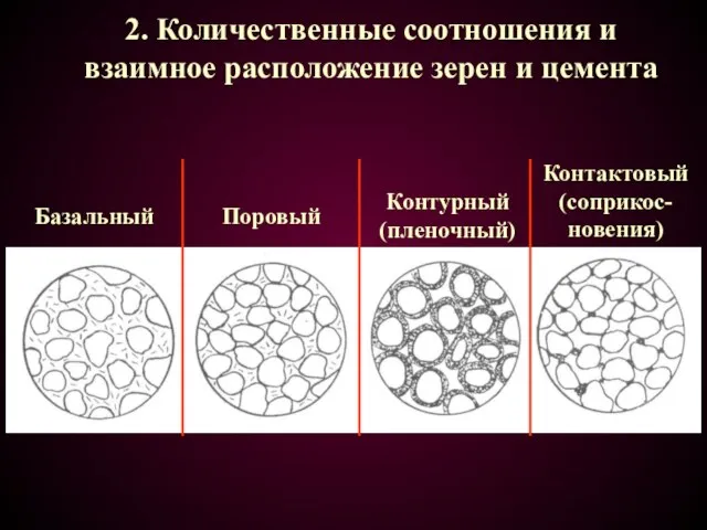 2. Количественные соотношения и взаимное расположение зерен и цемента Базальный Поровый Контурный (пленочный) Контактовый (соприкос-новения)