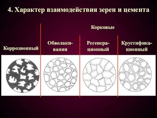 4. Характер взаимодействия зерен и цемента Коррозионный Обволаки-вания Крустифика-ционный Корковые Регенера-ционный