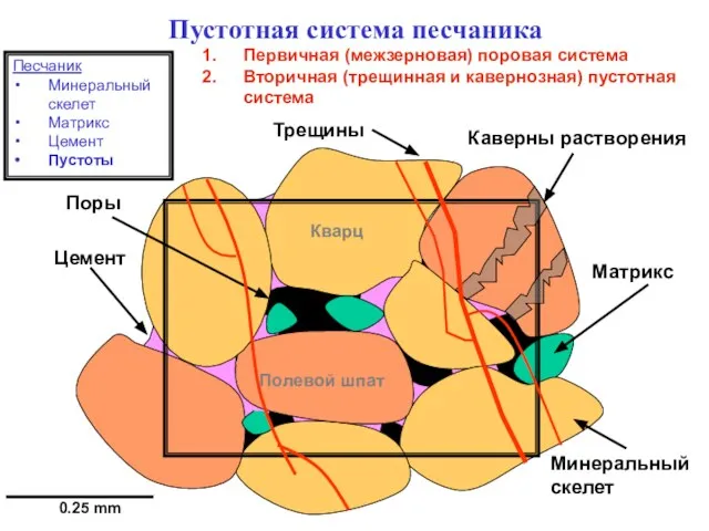 Пустотная система песчаника Матрикс Кварц Цемент Поры 0.25 mm Песчаник Минеральный