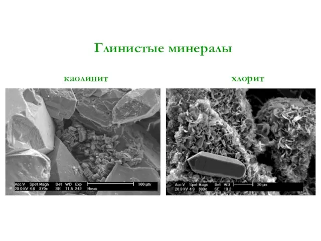 Глинистые минералы каолинит хлорит